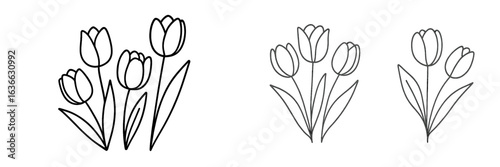 Various styles of tulip illustrations displayed in different arrangements and line art techniques for floral design inspiration