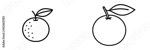 Illustrations of two different orange designs featuring distinctive details and leaves