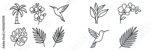 Diverse tropical flora and fauna showcased through elegant line art in a harmonious composition