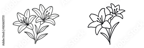 Beautiful hand-drawn floral illustrations showcasing lilies in a minimalist style for artistic inspiration