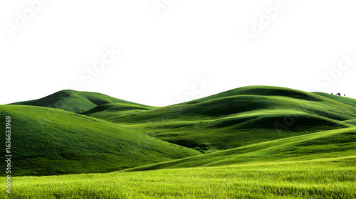 Grassland landscape with green rolling hills on a white background