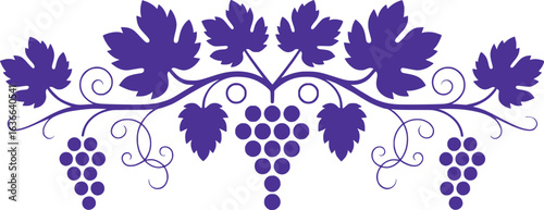 Elegant Purple Grapevine Illustration Adorning a White Canvas a Symphony of Botanical Beauty Vine Tendrils Grapes and Leaves Depicting Nature's Grace