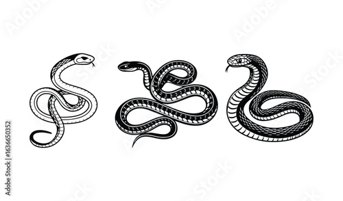 Three detailed vintage style snake illustrations in black and white