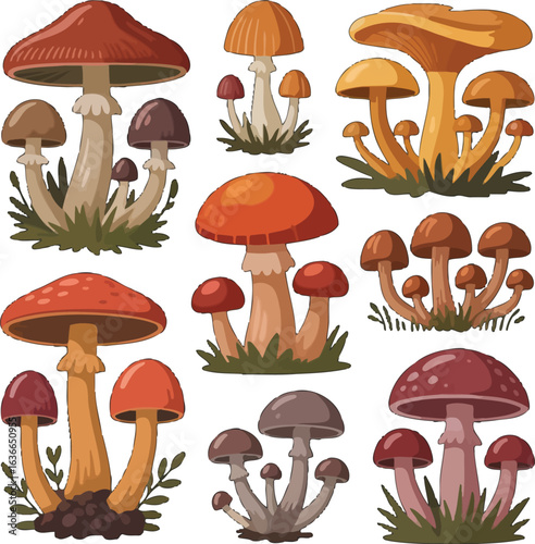 A Collection of Illustrated Mushrooms in Various Colors and Sizes