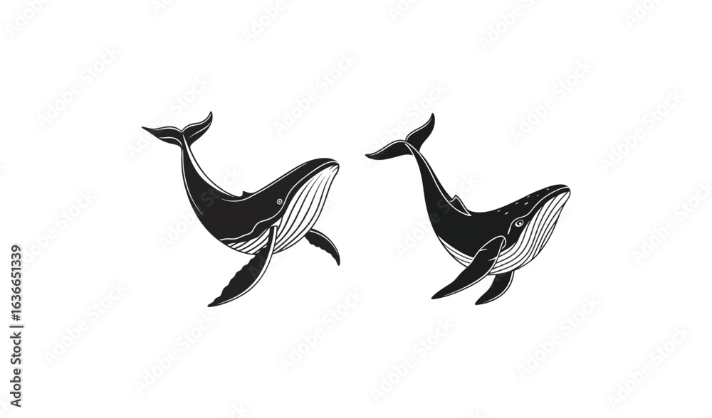 Fototapeta premium Two whales swimming together in a whimsical hand drawn style