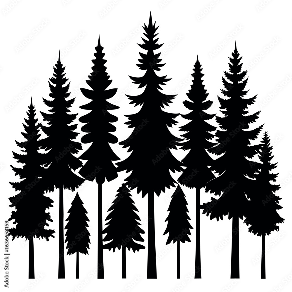 Obraz premium Silhouettes of evergreen trees in a forest&nbsp;setting
