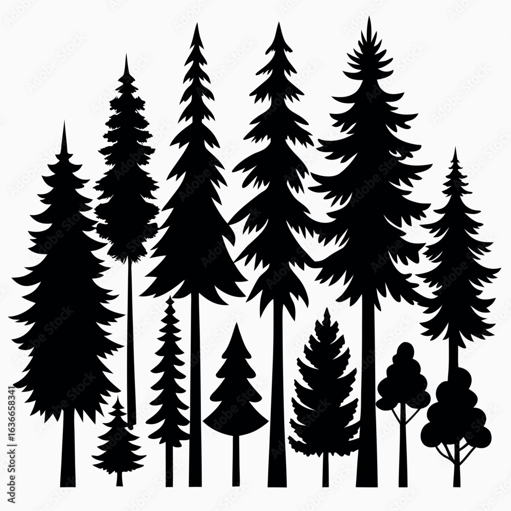 Obraz premium Silhouettes of evergreen trees in a forest&nbsp;setting