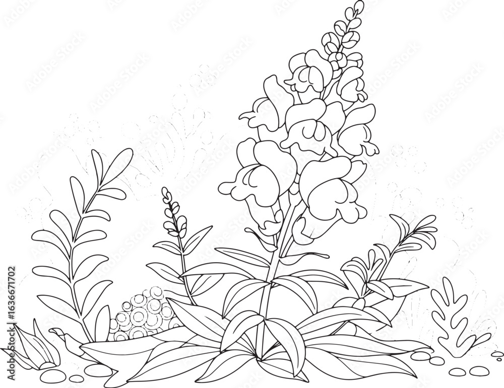 Fototapeta premium Delicate Snapdragons outlined in a harmonious botanical arrangem