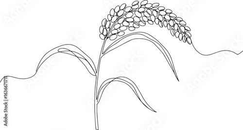 Elegant single line drawing of millet plant with seeds on a whit