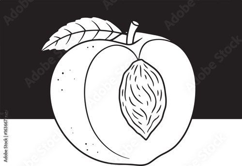 Elegant monochrome line art illustration of a nectarine with lea