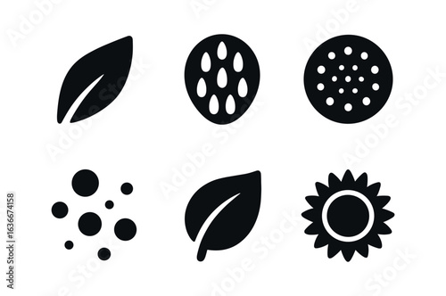 Sunflower Icon Set