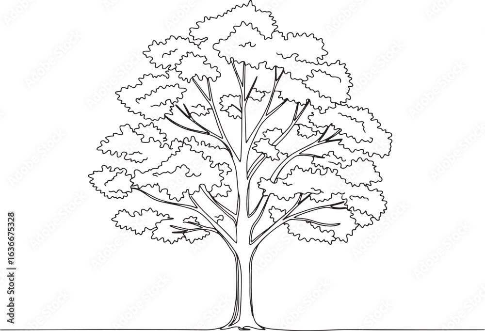 Fototapeta premium Sugar maple tree outline illustration with intricate leaf detail