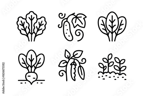 Vegetable Patch Icons