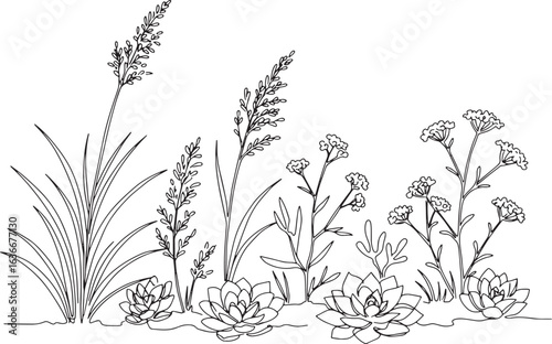 Botanical illustration of coastal plants and succulents in minim