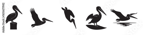 Brown Pelican Silhouette Bundle with Perched, Flying, Diving, Standing, and Gliding Poses Vector Images on White Background

