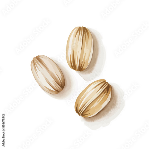 Three striped sunflower seeds on a white background