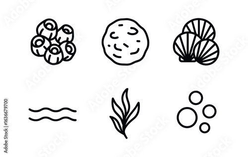 Tidepool Vector Icons