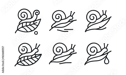 Snail Icon Grid