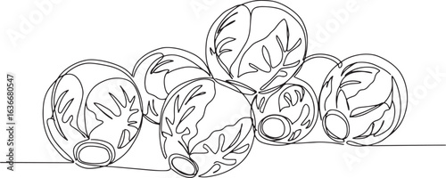 Single line art of brussel sprouts arranged on white background