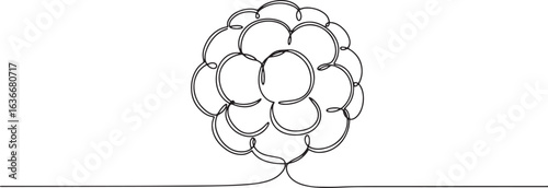 Elegant continuous line drawing of a cloudberry illustration art