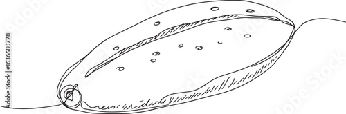 Continuous line drawing of a taameya, showcasing the essence of