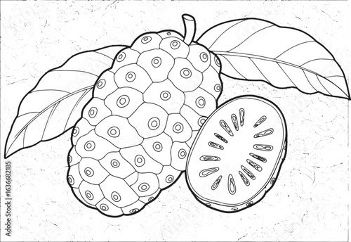 Exotic noni fruit detailed coloring page with decorative pattern