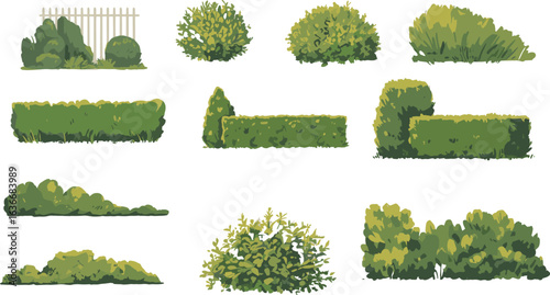 Collection of various green bushes, garden hedges, and shrubs, perfect for landscaping, outdoor decoration, park design, and nature scenes illustrationPrint