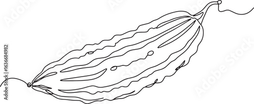 Minimalist line art drawing of a bitter melon, elegant and moder