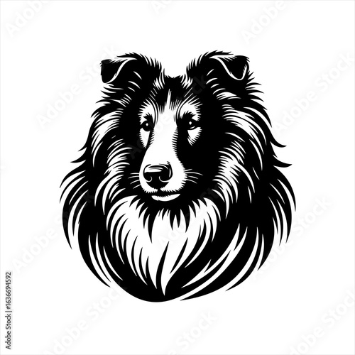 Black and white illustration of a sheltie dog s face