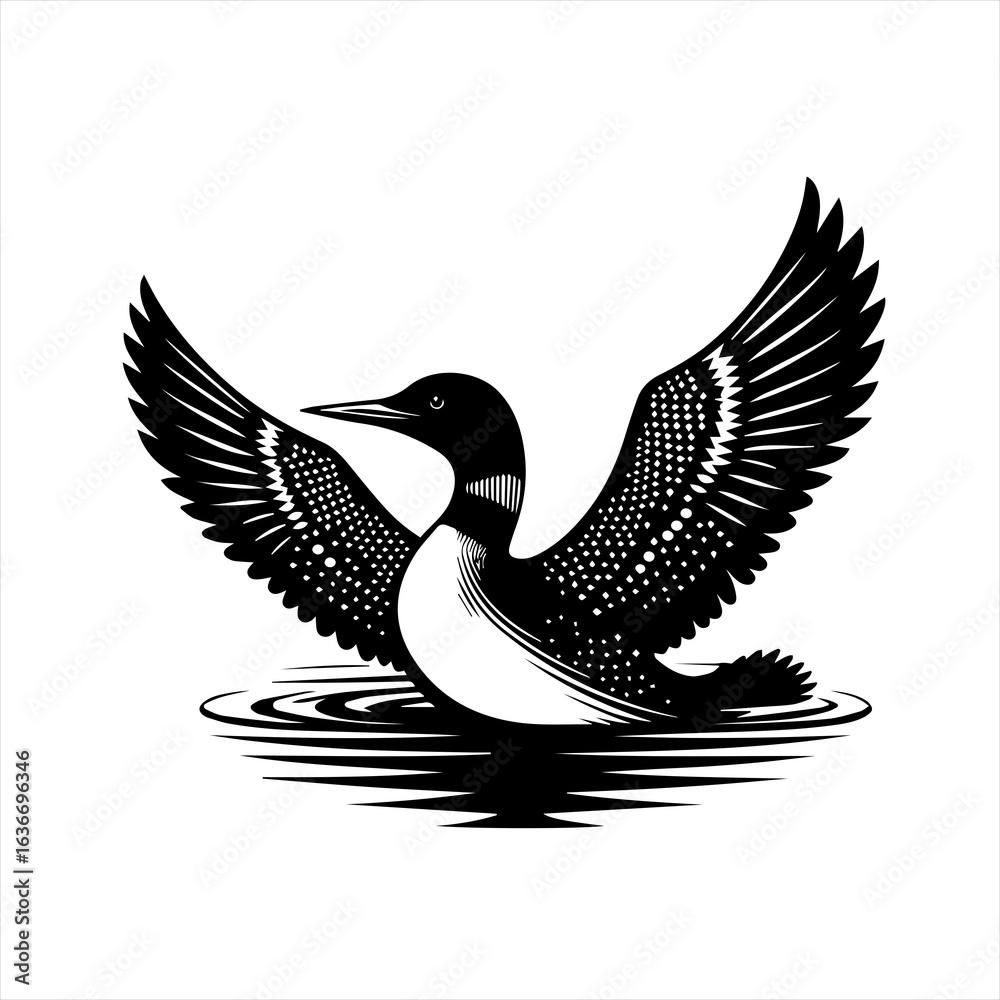 Obraz premium Black and white illustration of a loon with wings spread on water