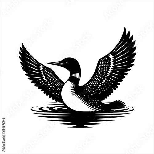 Black and white illustration of a loon with wings spread on water