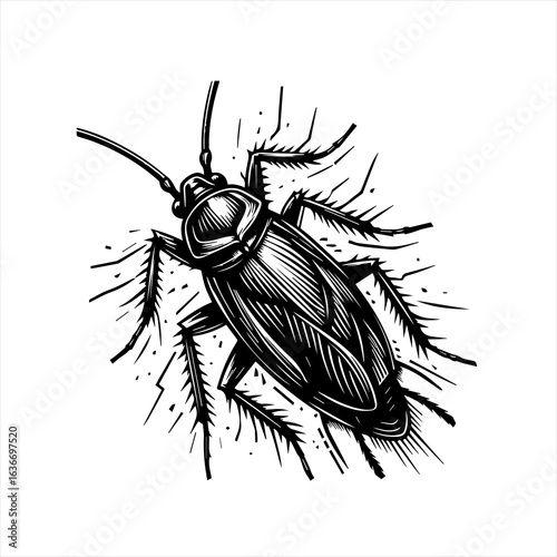 Detailed black and white illustration of a cockroach