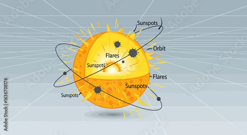 Diagram Of The Sun Showing Its Features Including Sunspots And Flares