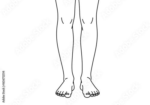 A simple line drawing of a pair of legs and feet standing on a white background facing forward