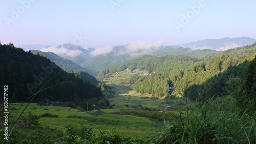 四谷千枚田の早朝風景