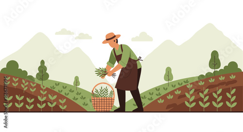 Farmer Gathering Fresh Herbs In A Basket Amidst Scenic Mountain Landscape