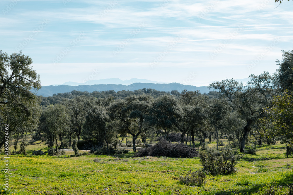 Obraz premium Mediterranean landscape with different depths of mountain ranges on the horizon under a cloudy blue sky