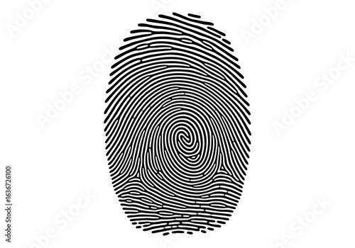 Vector art of detailed fingerprint pattern for biometric identification and security access to secure sensitive personal data