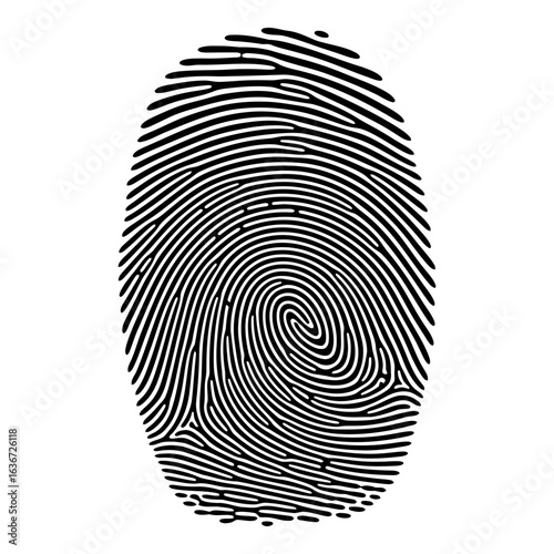 Vector art of detailed fingerprint pattern used for biometric identification and security, a unique mark for forensic analysis
