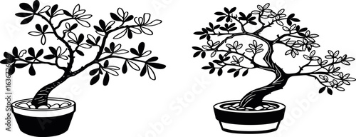 Two bonsai trees in pots, black and white line art on a plain background, zen