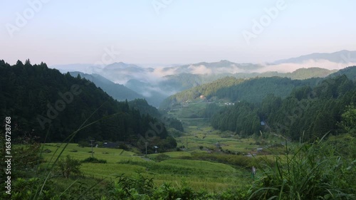 四谷千枚田の早朝風景
