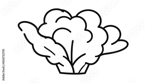 Simple black-line drawing of a leafy vegetable