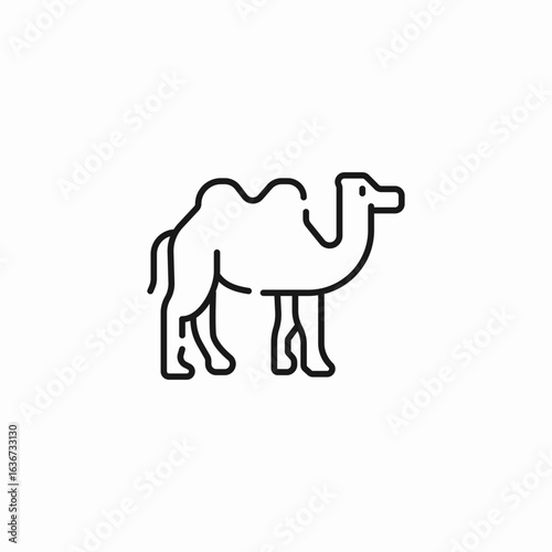 desert camel animal icon sign vector