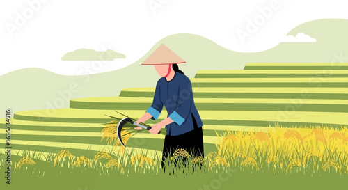 Harvesting Season In Rice Terraces With Woman And Traditional Hat