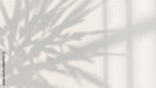 Photo of abstract shadow of plant branches on a white wall creating a natural and minimal textured background