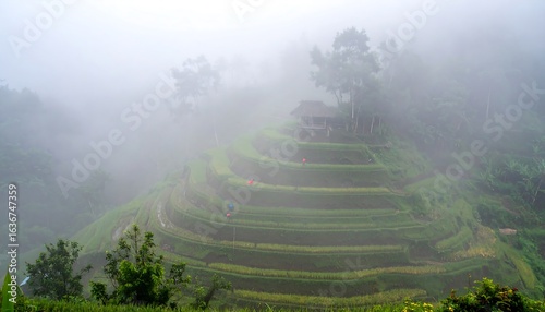 High-resolution photo of lush green rice terraces with early morning mist and farmers tending the fields. Ideal for cultural travel marketing and agricultural storytelling.