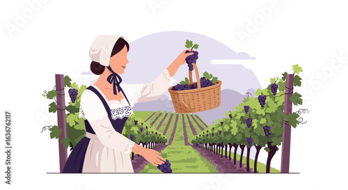 Woman harvesting grapes in vineyard with basket, showcasing vineyard landscape in illustrative style