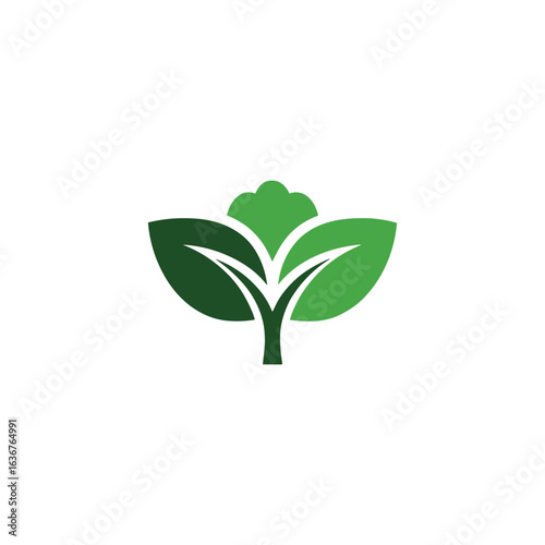 Green Leaf Logo Design Symbolizing Growth and Sustainability on White Background Graphic Resource
