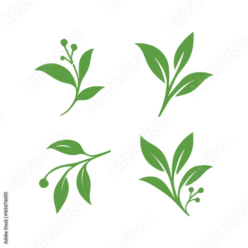 Elegant Green Tea Leaf Branch Set for Organic Product Branding and Natural Healthcare Solutions with Fresh Design Elements