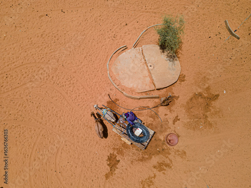 Aerial view of arid landscape with a small tree near a water source and animals, Khol Khol, Louga Region, Senegal.